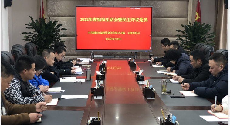 伟德国际victor1946集团第一党支部召开组织生活会暨民主评议党员会议
