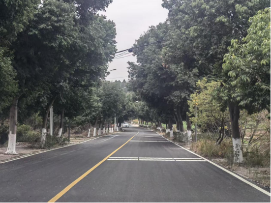 丰谷镇德政园至红色文化广场段道路改建工程顺利通车